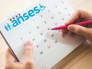 ANSES: el feriado modifica el calendario de pagos de agosto