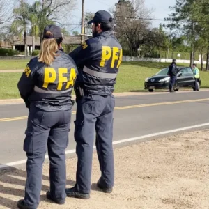 Operativo interfuerzas: un detenido con pedido de captura