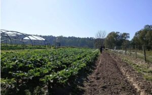 Productores entrerrianos pidieron medidas urgentes ante el avance del delito rural